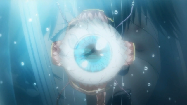 Kamui removeu um olho de Shisui porque ele "precisa do olho de um inspetor"