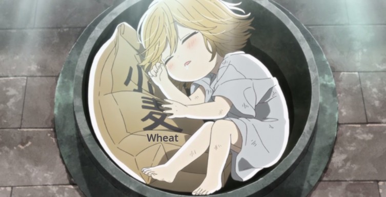 Udon No Kuni No Kiniro Kemari Episode 1