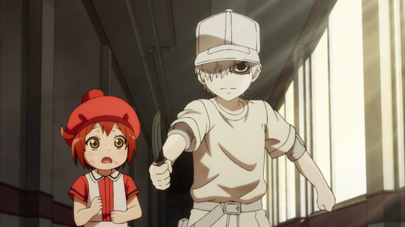 Anime Células no Trabalho Plaquetas, Bandeira Hataraku Saibou Ver