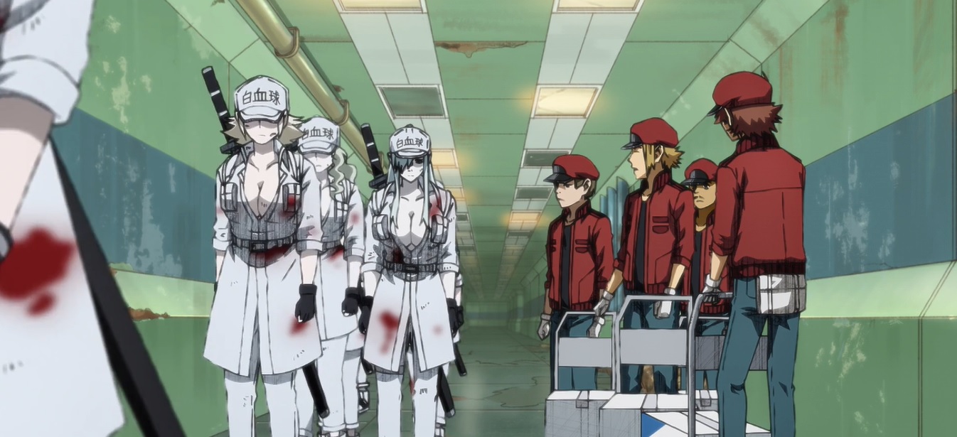 Diálogo com o corpo humano, Hataraku Saibou!! & Hataraku Saibou Black